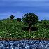 Preview Paesaggio